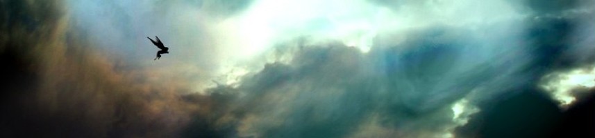 St James's Place: O2 Conference Opener — a stormy sky with a bird in flight, from the archive page's own hero image