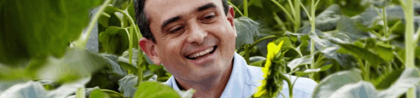 Syngenta films — a real photograph of a farmer among sunflowers, from Syngenta's own photo library, the archive page's own hero image